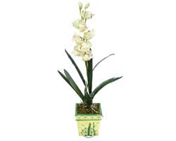 zel Yapay Orkide Beyaz   Mu online ieki , iek siparii 