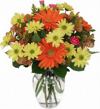  Muş hediye sevgilime hediye çiçek  vazo içerisinde karışık mevsim çiçekleri