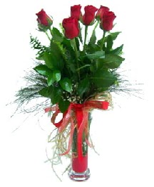 vazo içerisinde 5 kırmızı gül  Muş güvenli kaliteli hızlı çiçek 