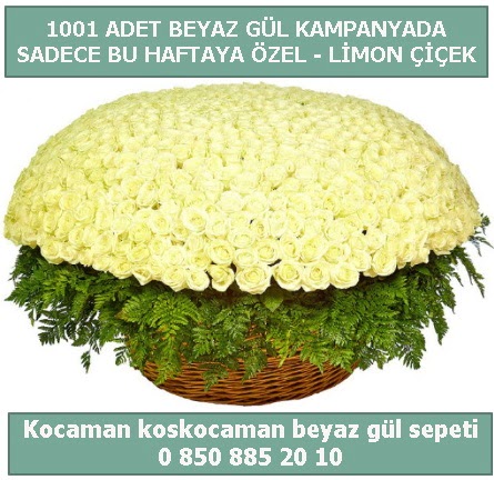 1001 adet beyaz gül sepeti özel kampanyada  Muş çiçek gönderme sitemiz güvenlidir 