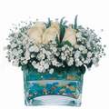 mika ve beyaz gül renkli taslar   Muş çiçek satışı 