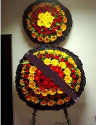  Muş çiçekçi mağazası  cenaze çiçekleri modeli çiçek siparisi