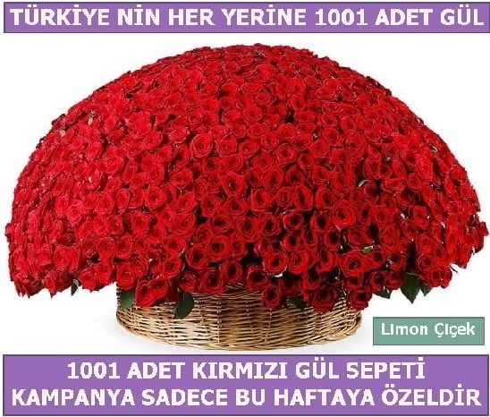 1001 Adet kırmızı gül Bu haftaya özel  Muş İnternetten çiçek siparişi 
