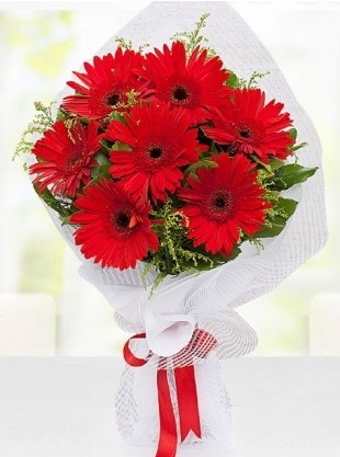 Kırmızı Gelbera Buketi  Muş internetten çiçek siparişi 