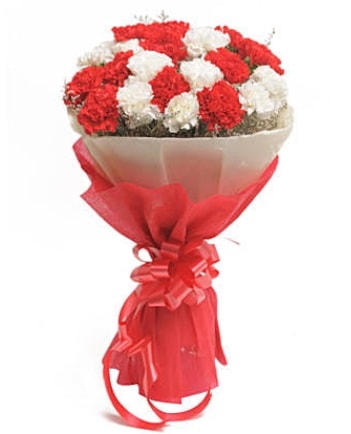 21 adet kırmızı beyaz karanfil buketi  Muş çiçek satışı 